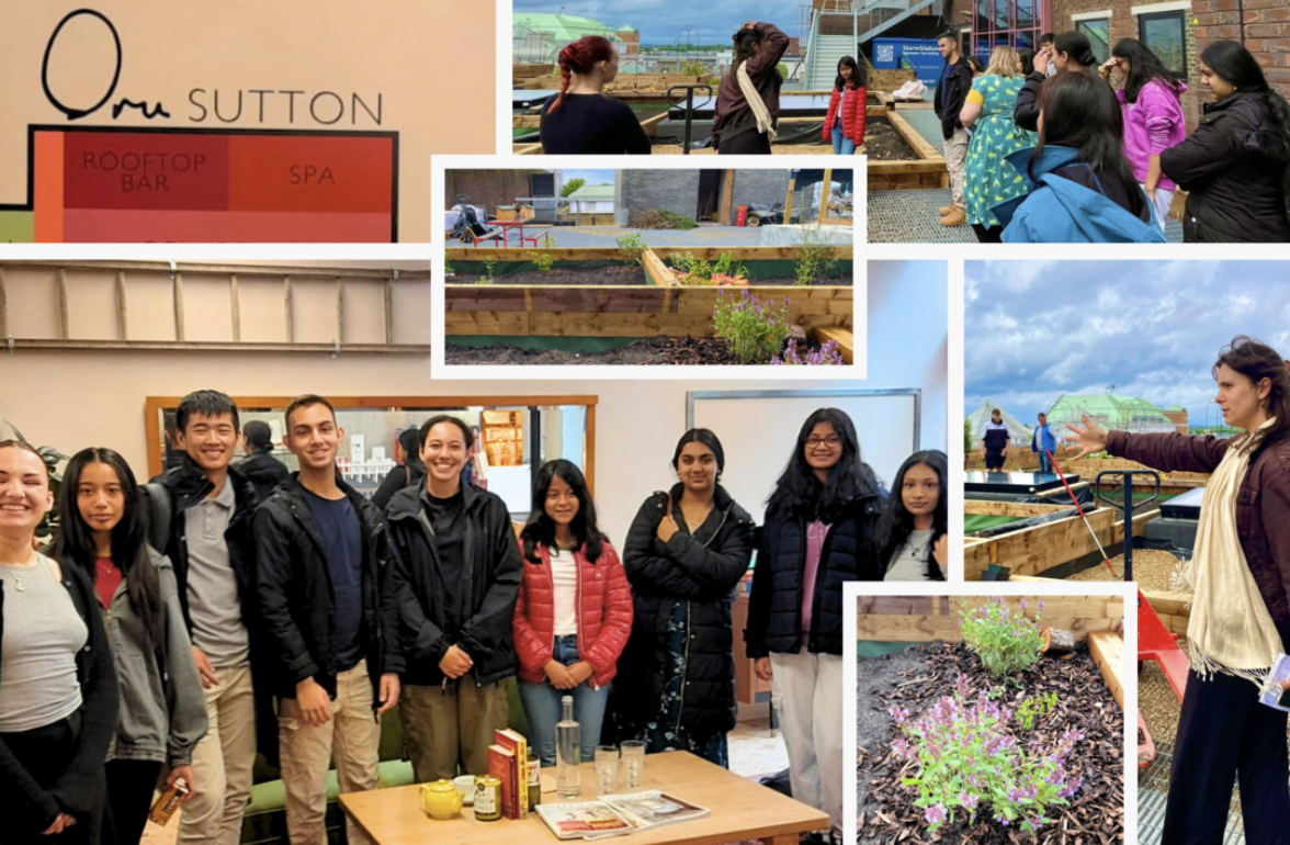 Young Commissioners: Visit Oru Space and envision future Community Garden